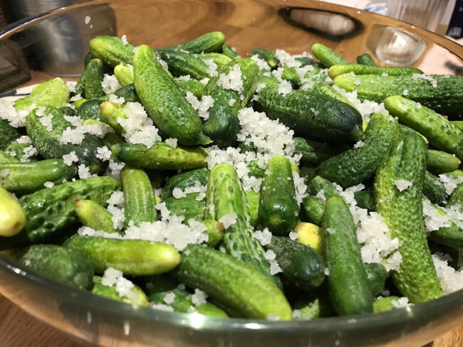 Recette De Cornichons Au Vinaigre Maison La Grange Aux Savoir Faire