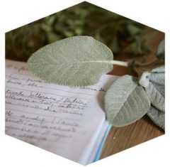 Paragraphe2 Paragraphe2