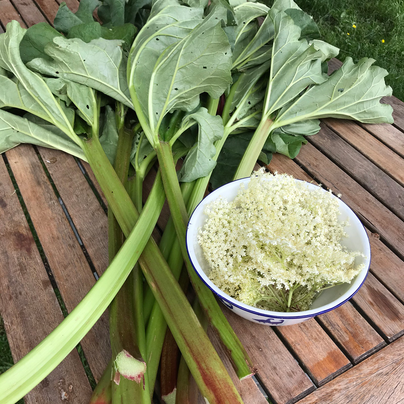 La Grange aux savoir-faire : Recette confiture de rhubarbe au sureau
