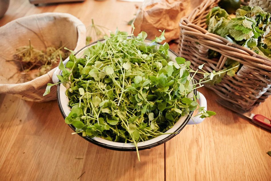 Bon cadeau pour l'atelier Cuisine sauvage - La Grange aux savoir-faire