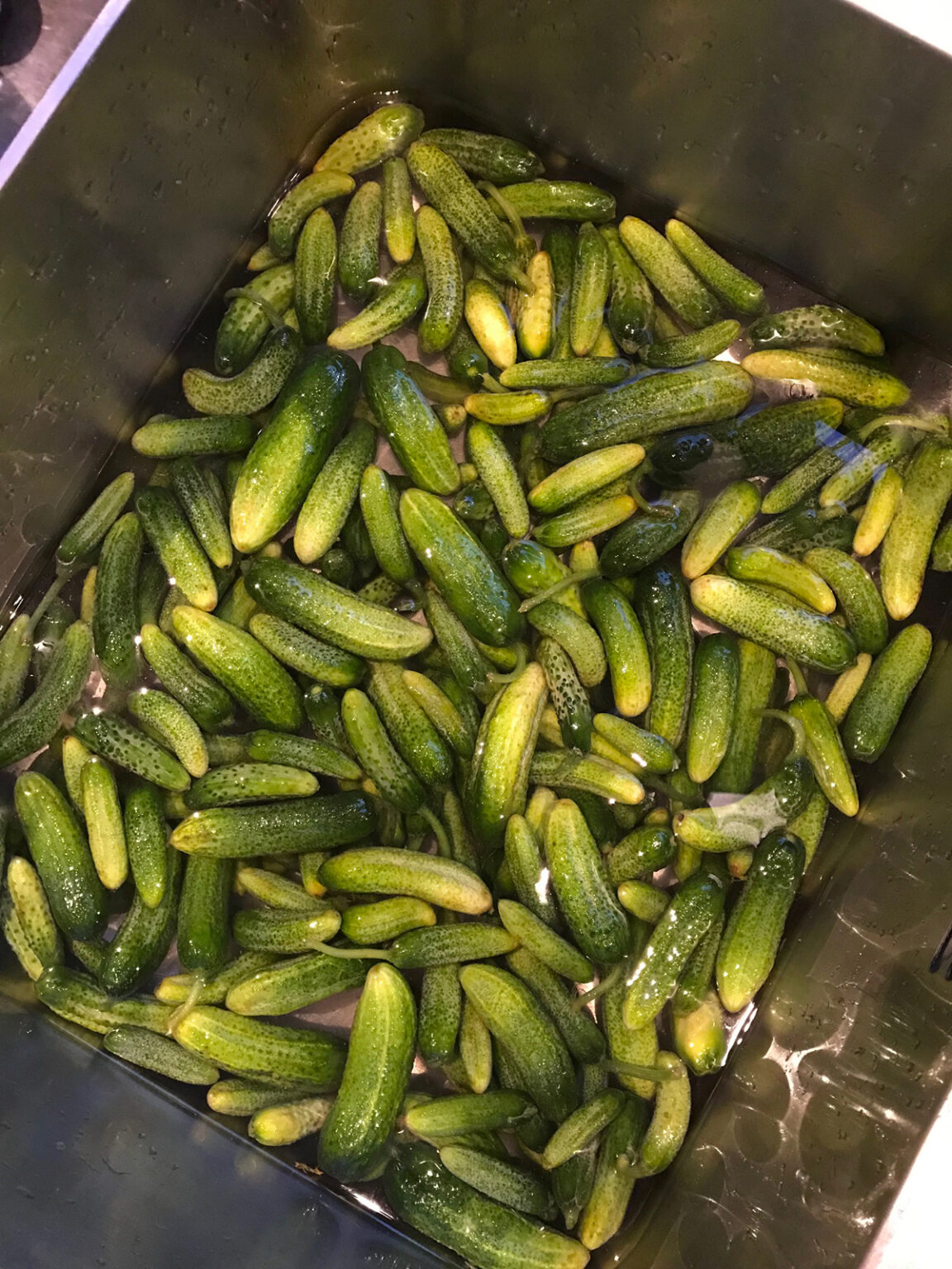 Recette de cornichons au vinaigre maison La grange aux savoirfaire
