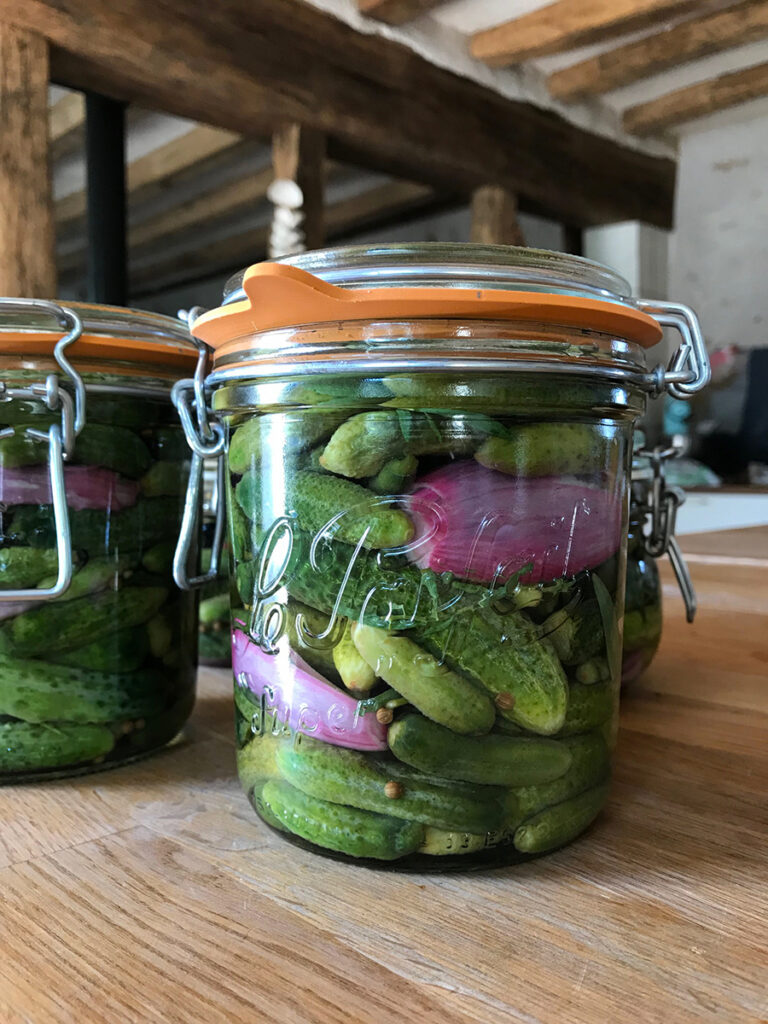 Recette de cornichons au vinaigre maison La grange aux savoirfaire