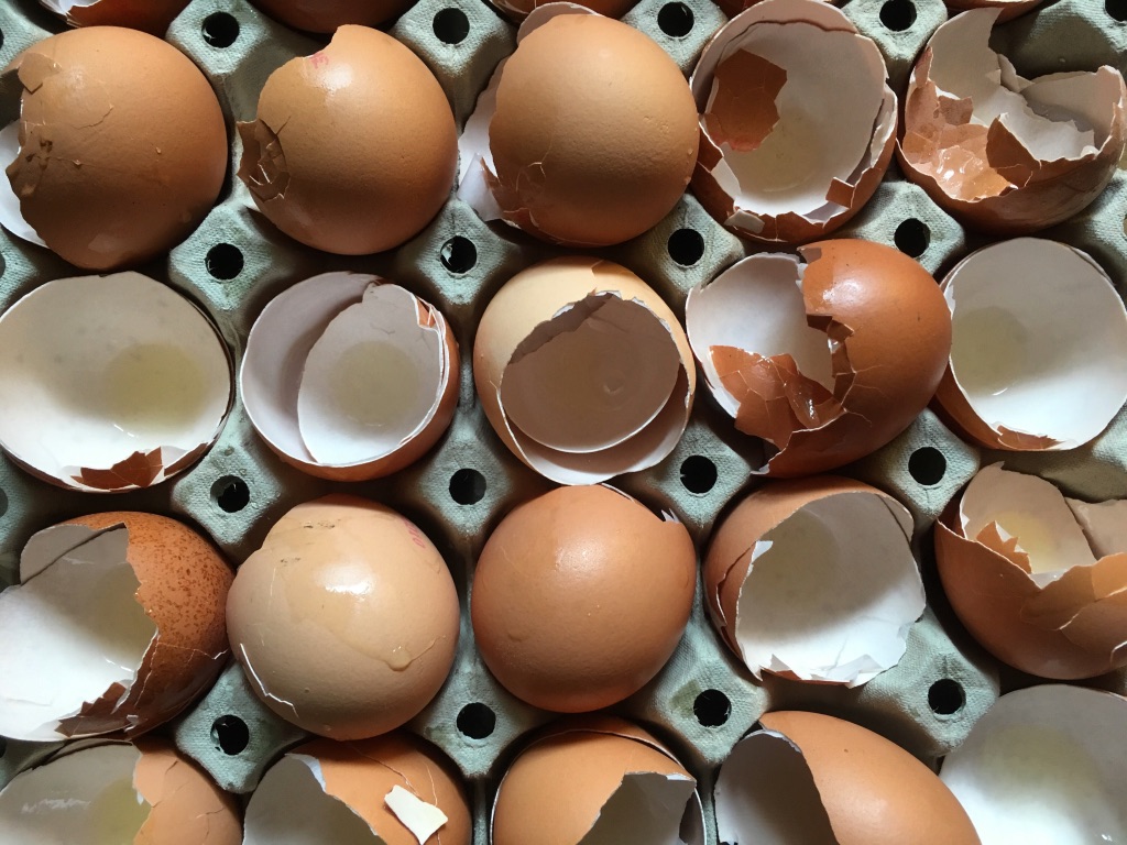 Jaunes d'œufs séchés au sel et autres recettes créatives à base d