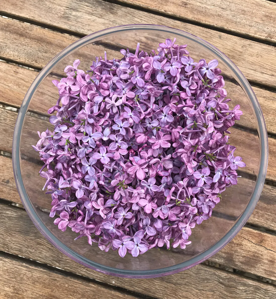 Sirop de lilas : mettez le printemps en bouteille